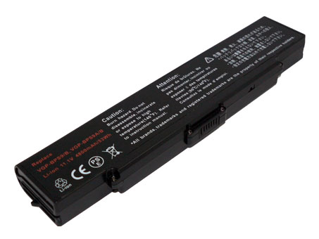 Sostituzione Batteria OEM per SONY VAIO VPC EA16EC